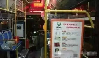 国珍太火了,cctv1套 2套 3套 4套 7套 10套 13套都在播放